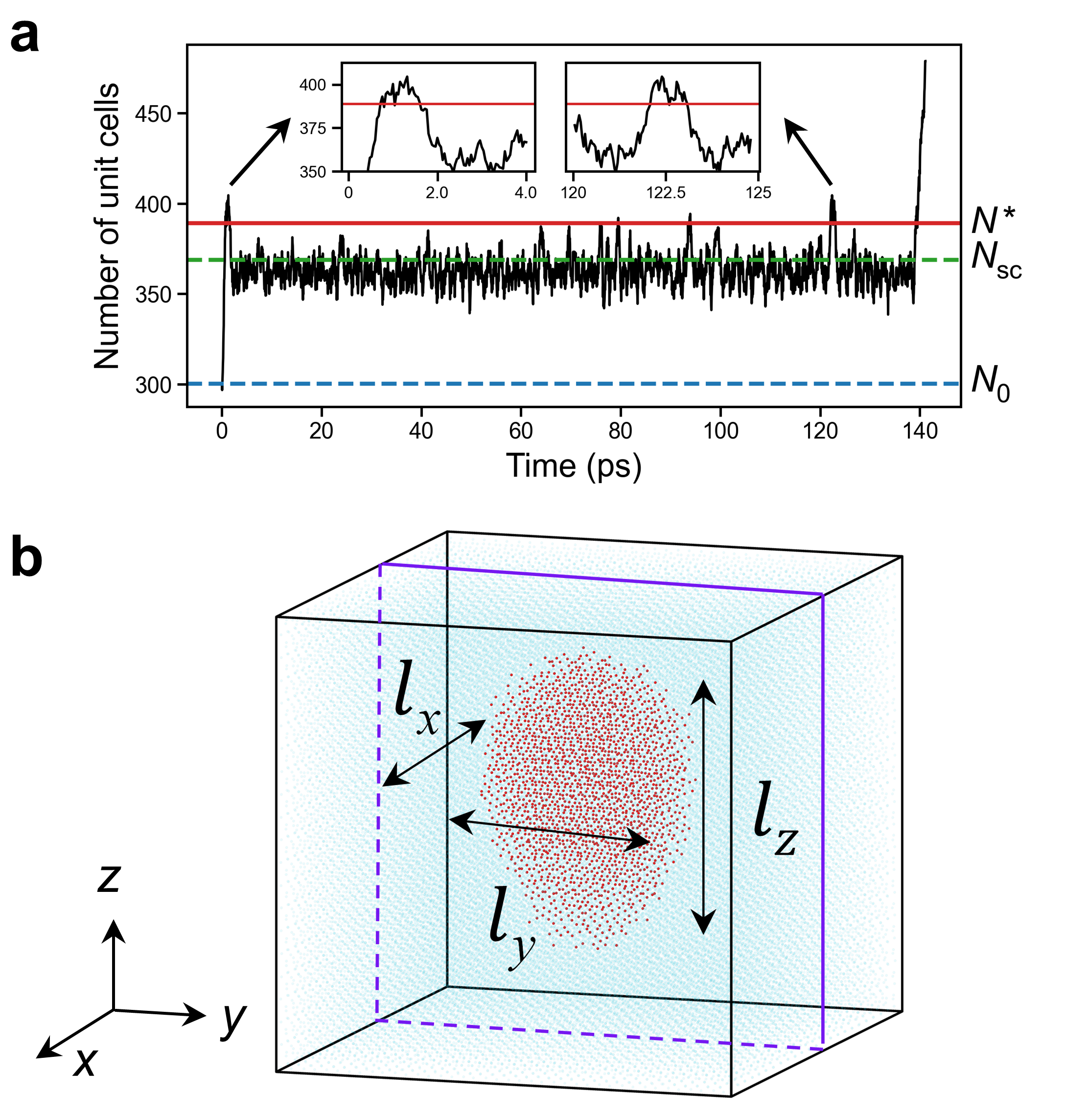 Ferroelectric switching configuration used in the rPEM workflow